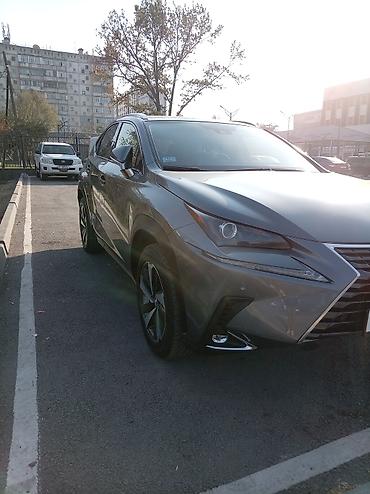 rx 450h: Lexus NX: 2020 г., 2.5 л, Вариатор, Гибрид, Кроссовер — 6