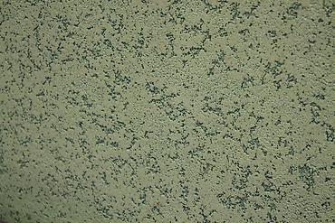 Штукатурка, шпаклевка: Декоративная штукатурка и окрашивание стен - Фактурные и венецианские — 2