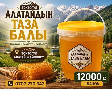 комоды бишкек: Алатауский натуральный мёд из высокогорных лугов (Токтогул, Алатай — 1