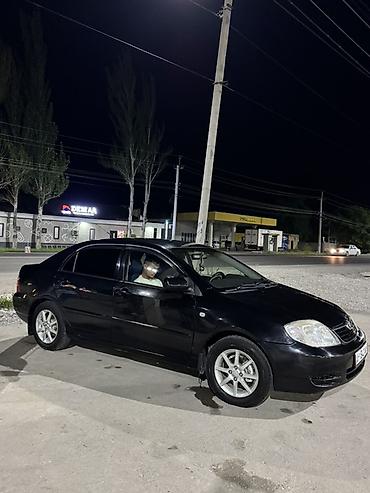 тайота карала: Toyota Corolla: 2005 г., 1.6 л, Механика, Бензин, Седан — 3