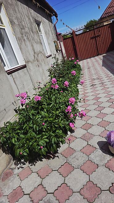 Продажа коттеджей и домов: Продам дом в городе.Кант во втором микрорайоне, район жилого дома — 24