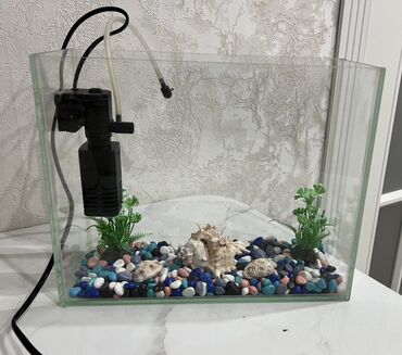рыбы ош: Аквариумный комплект для домашних рыбок. Состояние нового