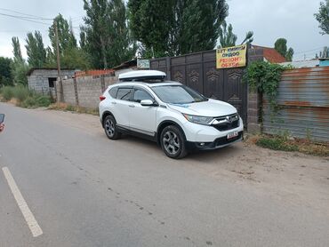 Автобоксы: Автобокс 2 см, Новый — 24