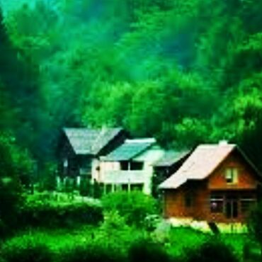 Tibbi avadanlıq: Tibbi oksigen balonu, redaktor və maska icarəyə verilir. Həftəlik — 8