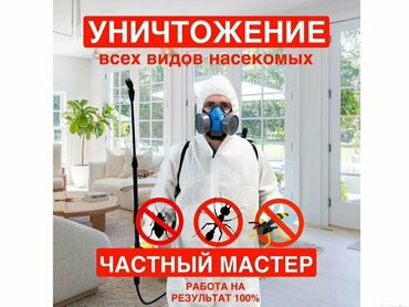 помощь по дому: Дезинфекция, дезинсекция, | Тараканы, Вирусы, микробы, Мыши и крысы, | Подвал, погреб, Офисы, Квартиры