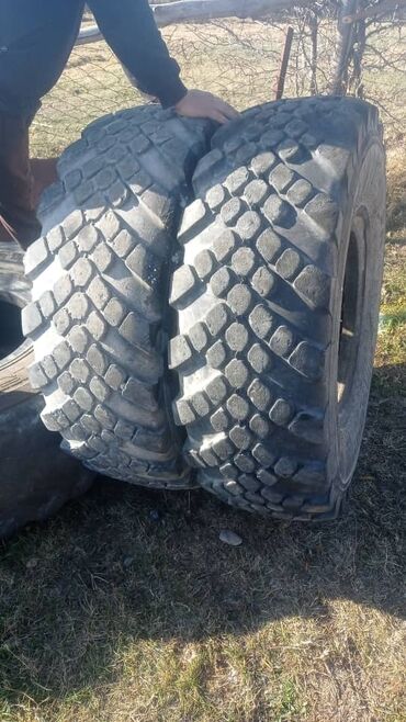 Шины: Продаются колёса на ЗИЛ -131, Урал,Газ66,Экскаватор, Т-150 at lalafo.kg — 7 Шины: Продаются колёса на ЗИЛ -131, Урал,Газ66,Экскаватор, Т-150 — 7
