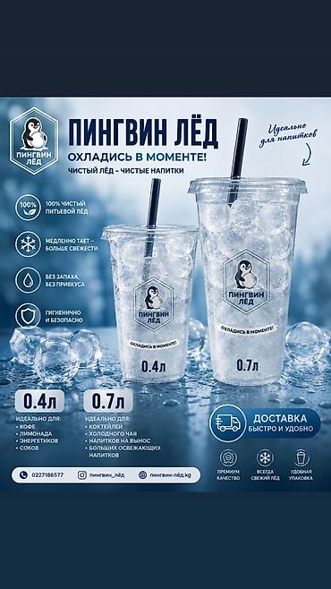 0 5 вода: 🏪 **ДҮКӨН ЭЭЛЕРИ ҮЧҮН ЖАКШЫ СУНУШ!** 🧊🐧 **«ПИНГВИН ЛЁД»** — таза — 1
