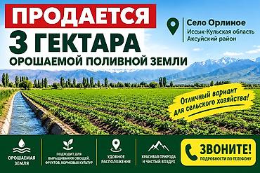 участок село берлик: 3000 соток, Для сельского хозяйства, Договор купли-продажи — 1