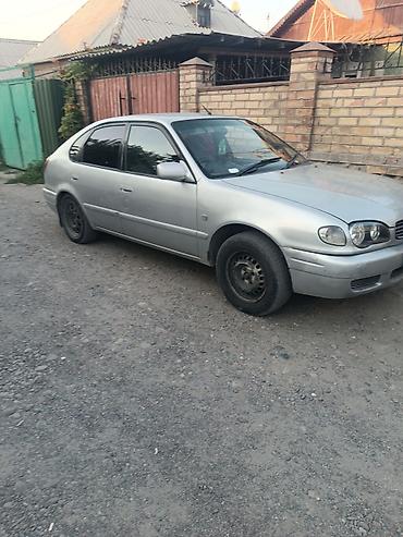 сотый крузак: Toyota Corolla: 2001 г., 1.8 л, Автомат, Бензин, Хэтчбэк — 4