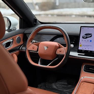 Другие детали салона: Нета л полный комплектация . пробек 36000 оргинал .родной окрас100% — 4