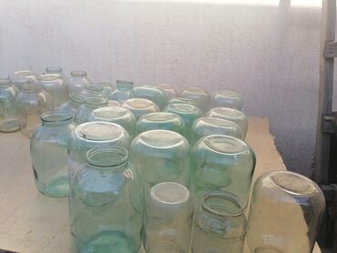 аквариум бишкек купить: Банкалар, Колдонулган, Өзү алып кетүү