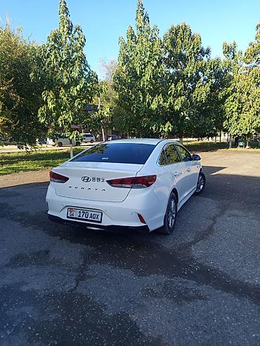 Hyundai Sonata: 2019 г., 0.2 - engine capacity л, Автомат, Газ, Седан — 4