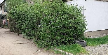 Продажа комнат: Продается 2-комнатная квартира 1 этаж, всего 2 этажа. 43кв.м — 17