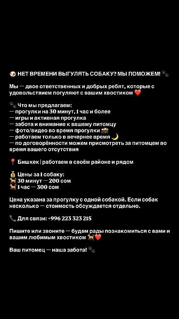 Туристтик кызматтар: Башка кызматтар — 1