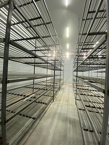 гараж аренда бишкек: 600 м², С отдельным входом, С высокими потолками, Холодильный, морозильный — 8