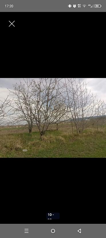 Torpaq sahələrinin satışı: Kənd təsərrüfatı — 9