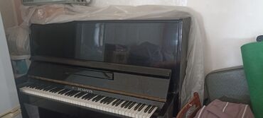 Tar: Piano, Belarus, Akustik, İşlənmiş, Ünvandan götürmə