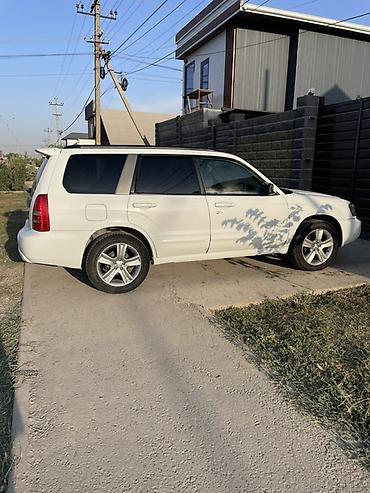форестер 2005: Subaru Forester: 2004 г., 2 л, Автомат, Бензин, Кроссовер — 10