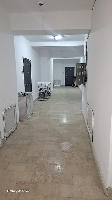 кв без хоз: 1 комната, 56 м², Рынок Келечек, Элитка, 12 этаж, Свежий ремонт — 5