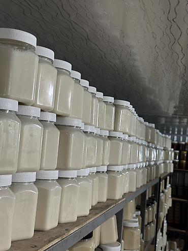 Мёд: Эспарцетовый мёд (белый крем-мёд), Ат-Башы Натуральный эспарцетовый — 4