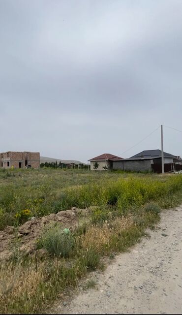 дом на иссык куле: 8 соток, Для бизнеса, Красная книга