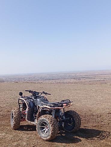 водный скутер: Квадроцикл Бензин, 250 куб. см, Взрослый — 6