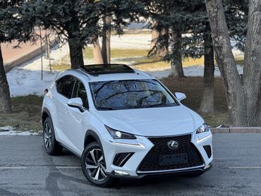 Lexus: Lexus NX: 2019 г., 2 л, Автомат, Бензин, Кроссовер