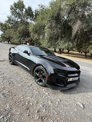 обвес винкс: Chevrolet Camaro: 2020 г., 2 л, Автомат, Бензин, Купе — 5