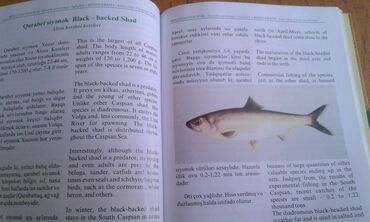 Ensiklopediyalar: Müxtəlif kitablar satılır. Biri 40 manat. "Nərəkimilər - dinozavrların -da lalafo.az — 15 Ensiklopediyalar: Müxtəlif kitablar satılır. Biri 40 manat. "Nərəkimilər - dinozavrların — 15