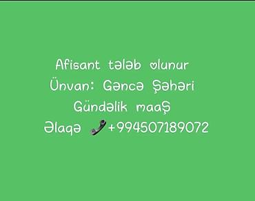ofsiyat xanim: Ofisiant tələb olunur, Gündəlik ödəniş — 1