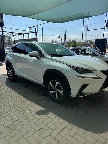 range over: Lexus NX: 2020 г., 2.5 л, Автомат, Гибрид, Кроссовер — 3