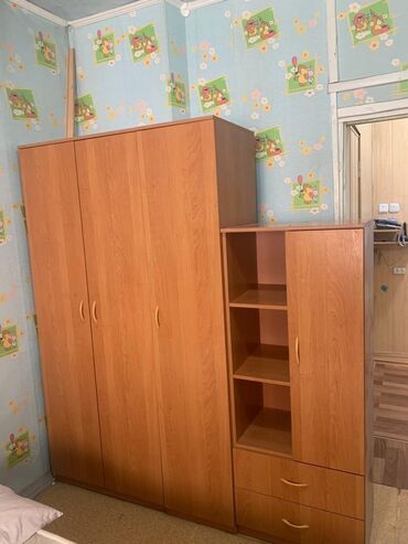 мебель для коридора: Шкаф