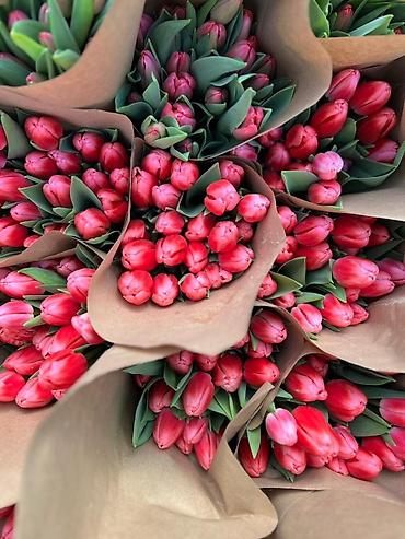 Букеты из живых цветов: Тюльпаны оптом только до 6марта ! Свежие хрустящие сортовые — 5