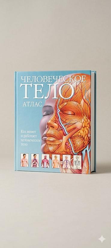 3д модели: Продаю Атлас человеческого тела Весь текст написан доступным каждому — 1