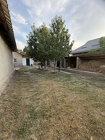 osh flat: 6 комнат и более, 150 м², 19 соток, Сокулук, Агентство недвижимости — 6