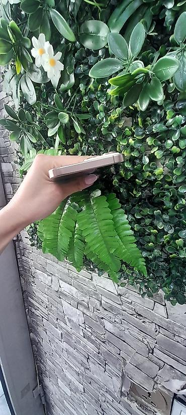 iphone dubay versiya: IPhone 16 Pro Max, 256 GB, Qızılı, Zəmanət — 5
