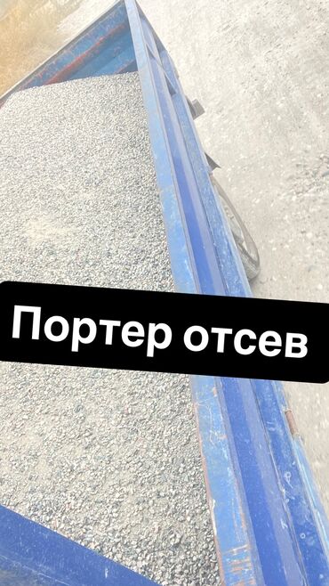 Үй жаныбарлары: Отсев отсев отсев отсев отсев отсев отсев отсев отсев отсев отсев