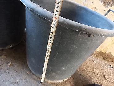 bezek bitkileri: 50 litr tutumlu Plastik dibçəklər satilir. Elastik materialdandi — 7