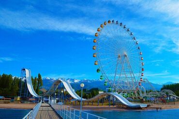 дом в караколе: 14 соток, Для бизнеса, Красная книга, Договор купли-продажи