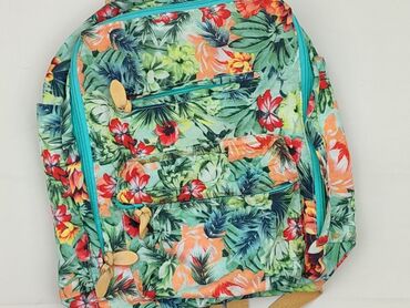 Backpack, condition - Good