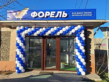 Воздушные шары и принадлежности: Гелиевые шары Арка из шаров Фотозона Лучшее качество 💯 Лучшая цена — 25