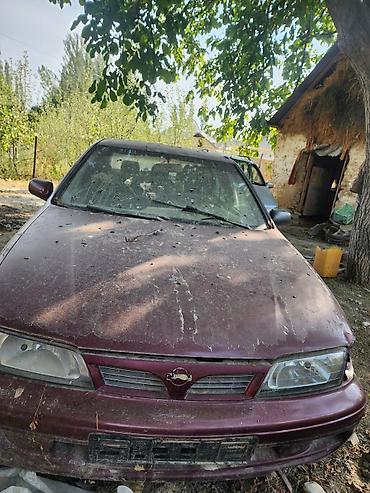 нур мото: Nissan Almera: 1998 г., 1.4 л, Механика, Седан — 7