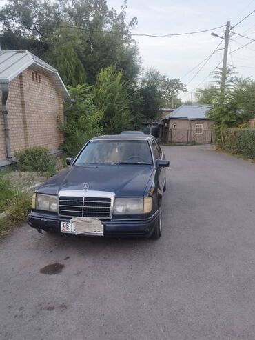 флагшток w124: Mercedes-Benz