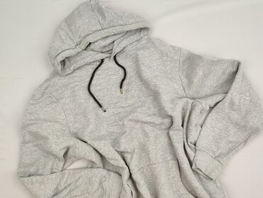 bluza wojan team allegro: Hoodie for men, 2XL (EU 44), Cedar Wood State, condition - Good