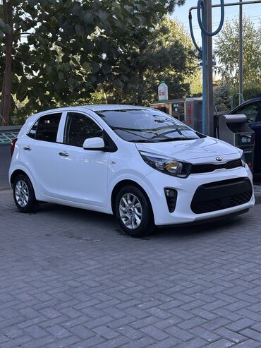 Kia: Kia Morning: 2020 г., 1 л, Автомат, Бензин, Хэтчбэк
