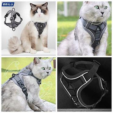 Зоотовары: Большой выбор омуниции для собак,больше информации и фото скидываю на — 5