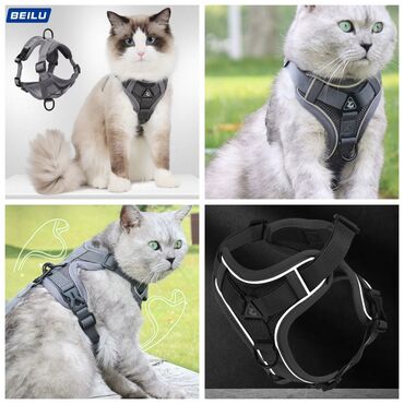 Товары и оборудование для с/х животных: Продаю новые в отличном качестве кошачие лотки крытые и открытые с — 23