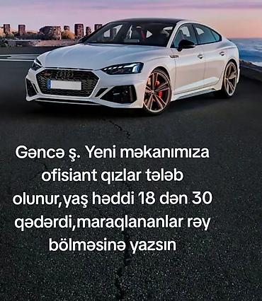 afsiant iwi: Ofisiant tələb olunur, 18-29 yaş — 1