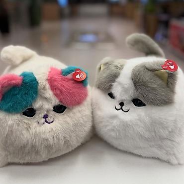 scotish fold: ● Hissiyatlı Piṣik Oyuncaq ● Çooox Yumuṣaqdir ● 13 ve 14 Fevralda — 2