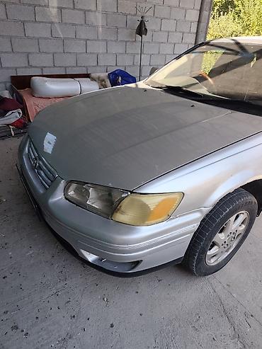 сайт авто кыргызстан: Toyota Camry: 2000 г., 2.2 л, Автомат, Газ, Седан — 4